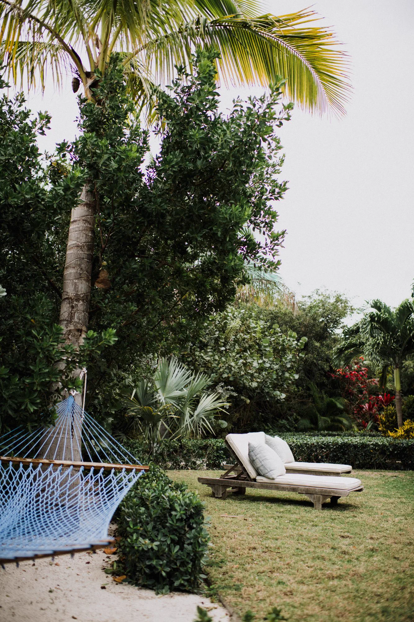 Two chaise loungers and a rope hammock strung between palms in the garden.