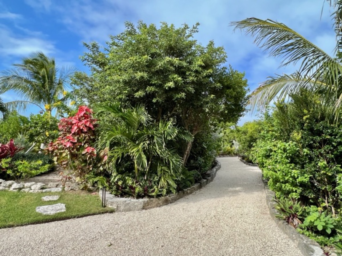 A winding garden path through tropical plantings, palms and flowering shrubs on the grounds.